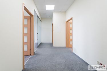 Lublin 3 600 zł 80 m2