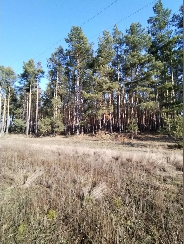 Zarośle Cienkie, 180 000 zł, 20.93 ar, budowlana miniaturka 7