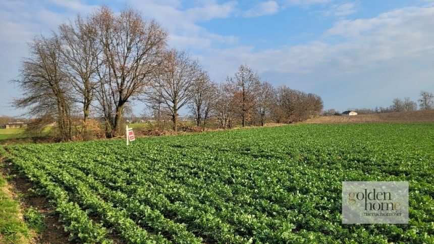 Grzebienisko, 298 000 zł, 25.92 ar, przyłącze prądu miniaturka 10