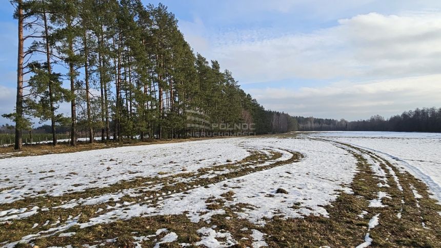 Działka w otulinie lasu niedaleko jeziora Makosiej miniaturka 9