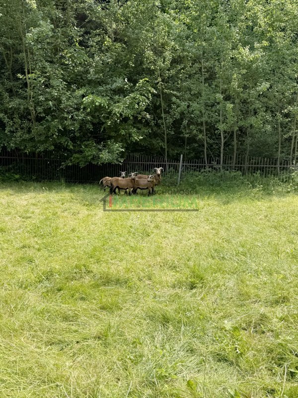 Cieniawa, 450 000 zł, 75 m2, 2 pokoje miniaturka 13