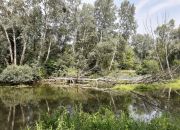 Klasyczne 2 pok. mieszkanie Wrocław okolice ul. Krakowska miniaturka 4