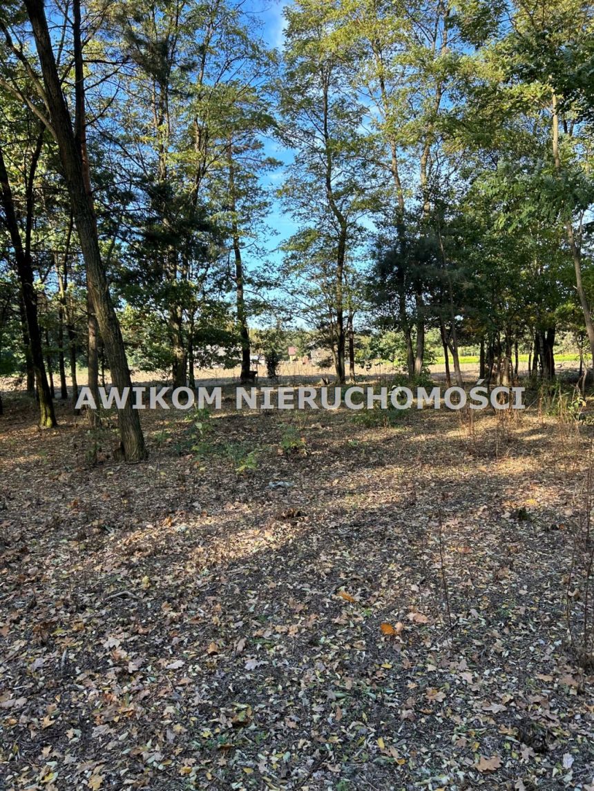 Wilczkowo, 225 450 zł, 30.06 ar, budowlana miniaturka 6