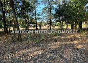 Wilczkowo, 225 450 zł, 30.06 ar, budowlana miniaturka 6