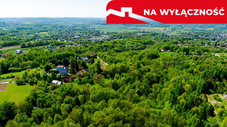 Działka rolno-budowlana z lasem miniaturka 3