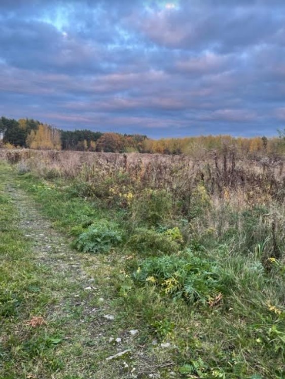 Działka o pow. 7000 m2 w Sierakowie, media. - zdjęcie 1