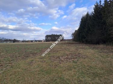 Budowlana, pod lasem, 4000 m2