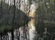PoznaŃ, Strzeszyn,działka rezydencyjna, miniaturka 2