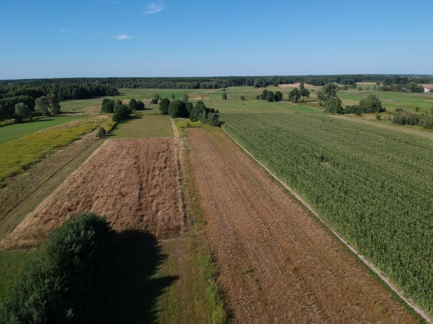 Dom prowansalski 300m2 działka 1ha 20 min od Wa-wy miniaturka 6