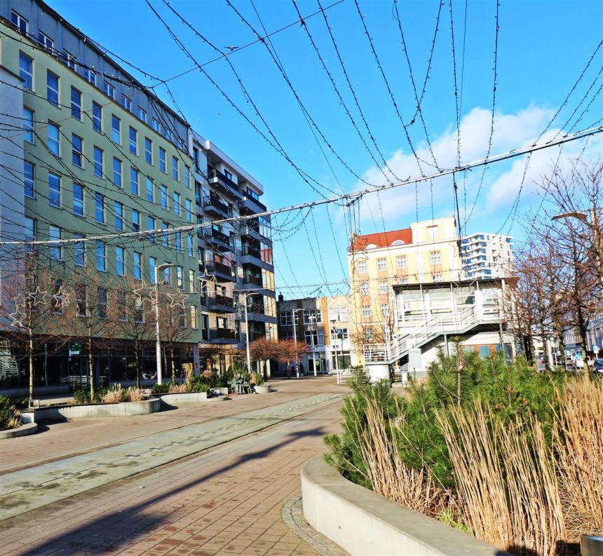 Otwarta przestrzeń w nowej części Gdyni 206m2 -do miniaturka 6