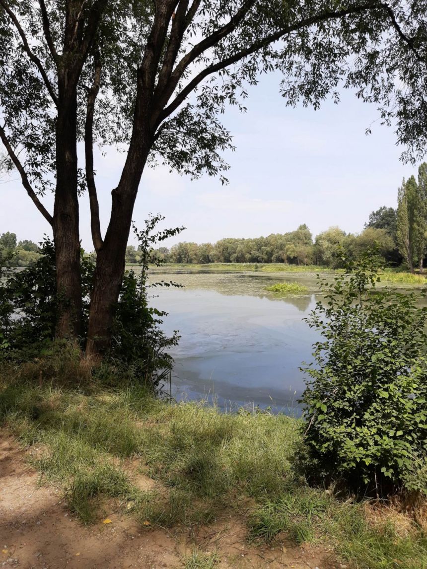 Piękny Apartament w uroczej, zielonej okolicy Krakowska /Przedmieście Oławskie miniaturka 7