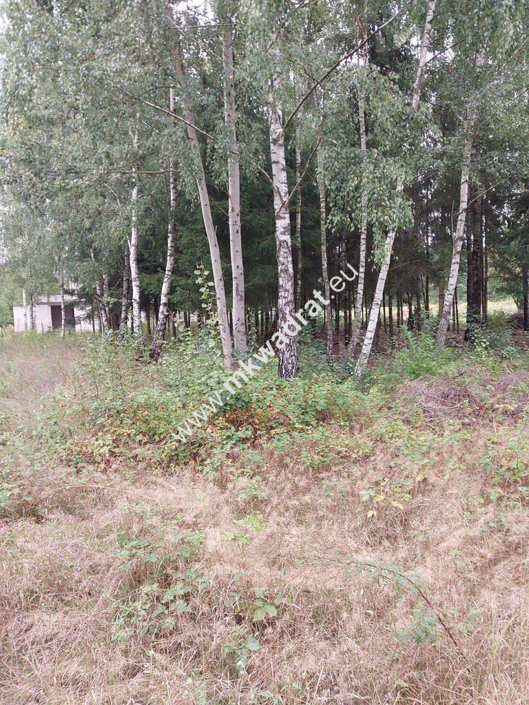 Działka, cicha, MPZP, Osowiec miniaturka 8