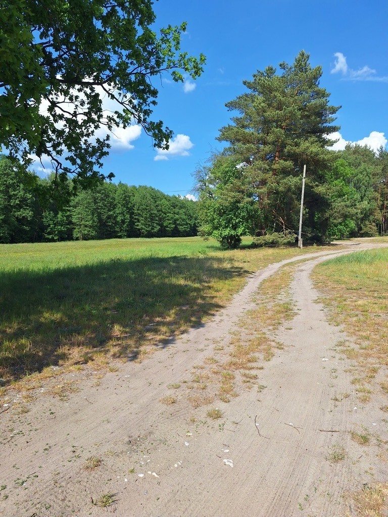 Działka,Tanowo,gm.Police,3166m2,plan-usługi. miniaturka 10