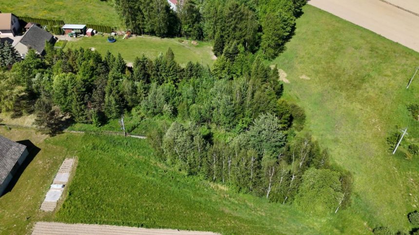 Dziekanowice, 245 000 zł, 25 ar, droga dojazdowa asfaltowa miniaturka 6