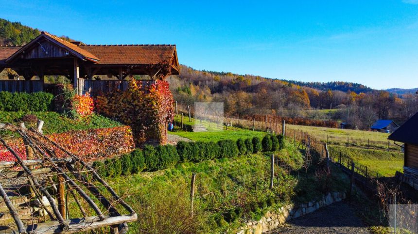 Klimatyczna winnica na pograniczu Bieszczad - zdjęcie 1