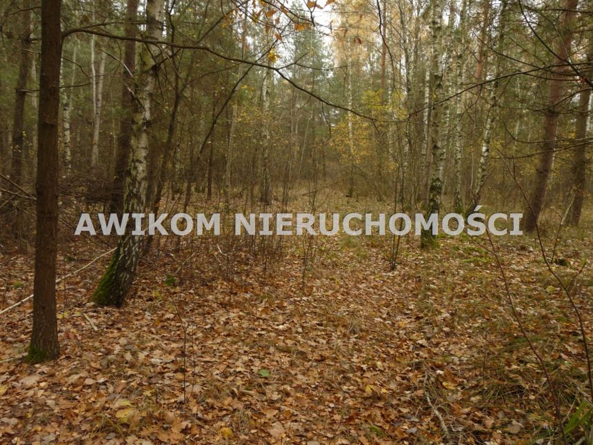 Antoniew, 195 000 zł, 1.25 ha, budowlana miniaturka 4