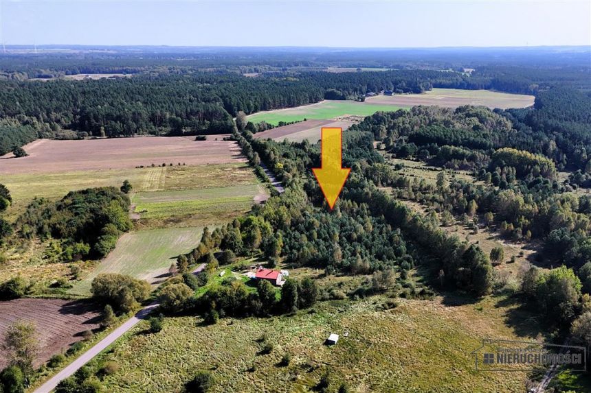 Duże działki w Krosinie, ok. 60 km od morza. miniaturka 9