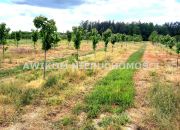 Kornelówka, 400 000 zł, 1.85 ha, przyłącze elektryczne miniaturka 1
