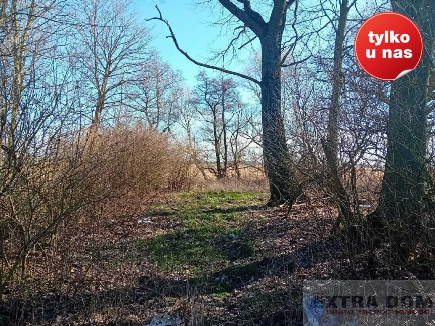 Stepnica 110 000 zł 14.45 ar miniaturka 7