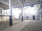 Hala magazynowa 1000 m2, Kielce Czarnów miniaturka 4