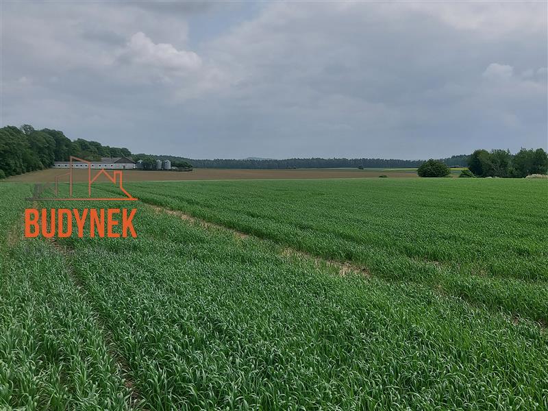 Gospodarstwo rolne - Sławno miniaturka 2
