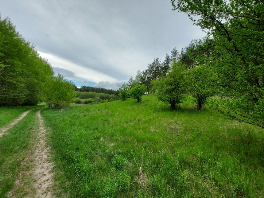 Pawłówek, 120 000 zł, 21.3 ar, budowlana miniaturka 3