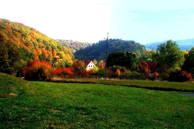 Prosperujące gospodarstwo rolno-agroturystyczne miniaturka 7