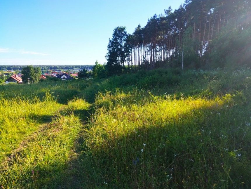 Działka tuż przy lesie, Bilcza miniaturka 6