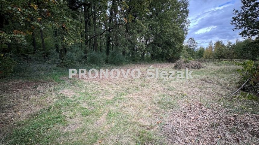 Sprzedam działkę budowlaną Siemianice k.Obornik Śl miniaturka 4