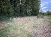Sprzedam działkę budowlaną Siemianice k.Obornik Śl miniaturka 4