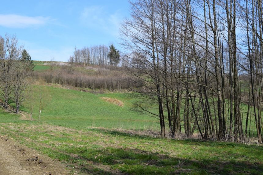 Działka rekreacyjna 40a- Manasterz miniaturka 9