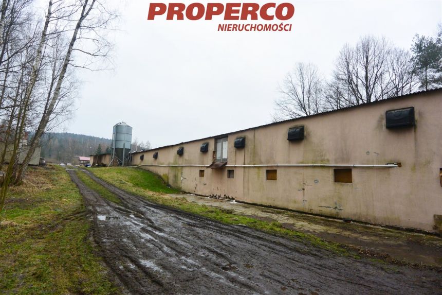 4 hale po 1100 m2, działka 1,8 ha, ferma drobiu miniaturka 7