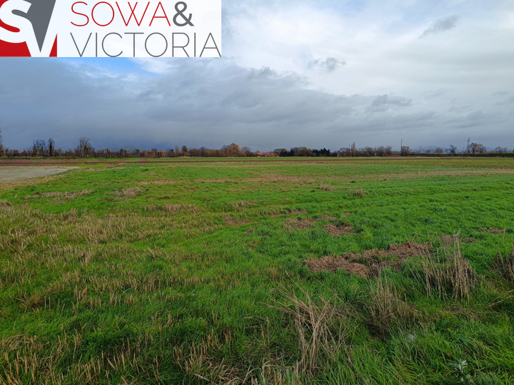 Działka budowlana w obrębie Cierni. Świebodzice. miniaturka 5