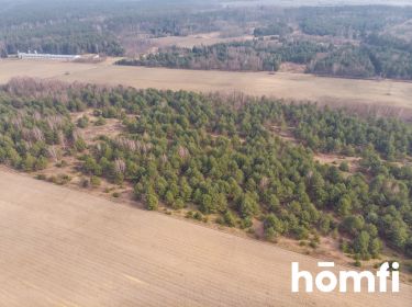 DZIAŁKA BUDOWLANA POD OLEŚNICĄ | 30 AR