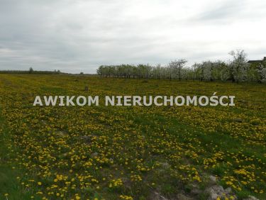 Wycinka Wolska, 124 020 zł, 1.03 ha, droga dojazdowa asfaltowa