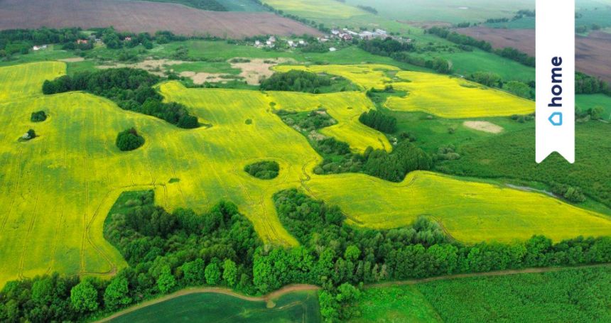 Działka budowlana gm. Ostróda, Mazury, Park - zdjęcie 1