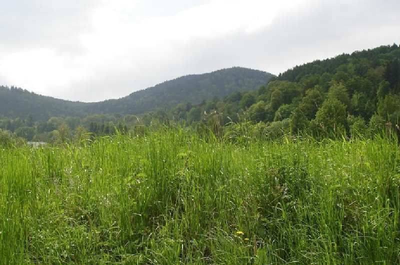 Grunt  na sprzedaż, Sosnówka, 1865.00 m2 miniaturka 8
