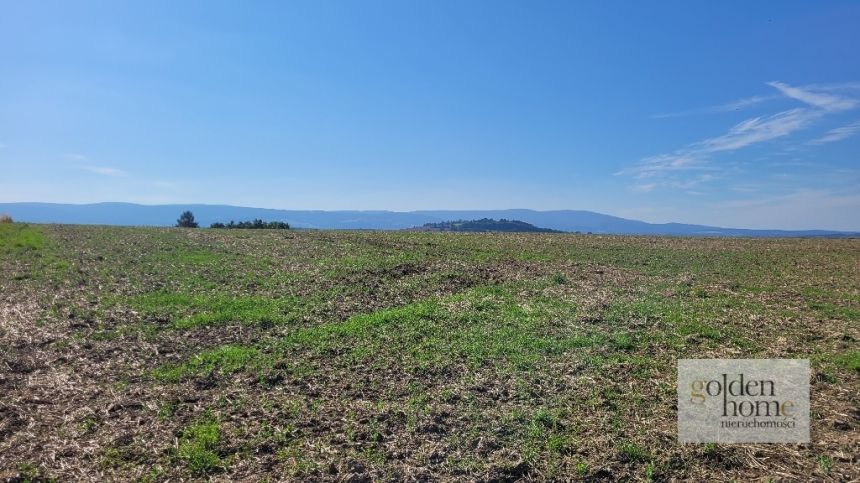 Gryfów Śląski, 71 640 zł, 11.94 ar, w kształcie trapezu miniaturka 11