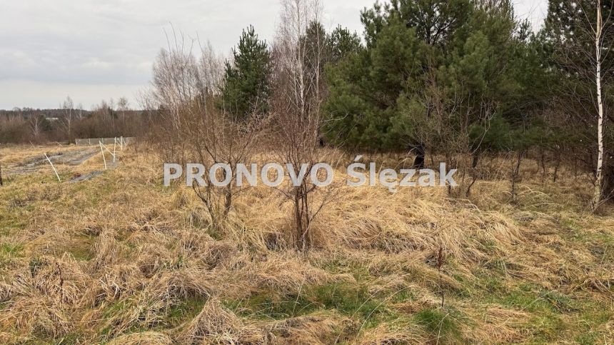 Działka 7000 m², Osolin k. Obornik Śląskich miniaturka 3