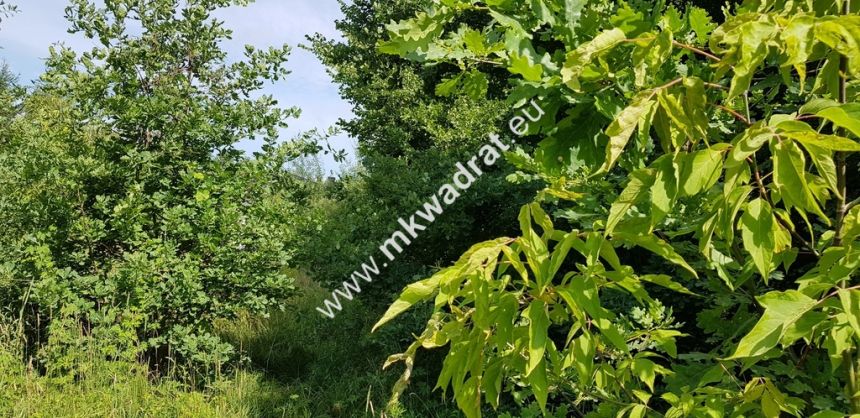 Osowiec gm. Żabia Wola | 1653m2 | narożna | MPZP miniaturka 8