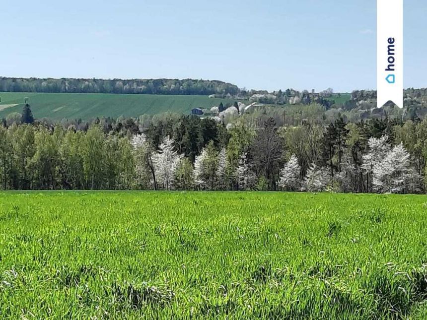Dom 145 m2  Bogusław gm. Gorzków działka 9500 m2 miniaturka 14