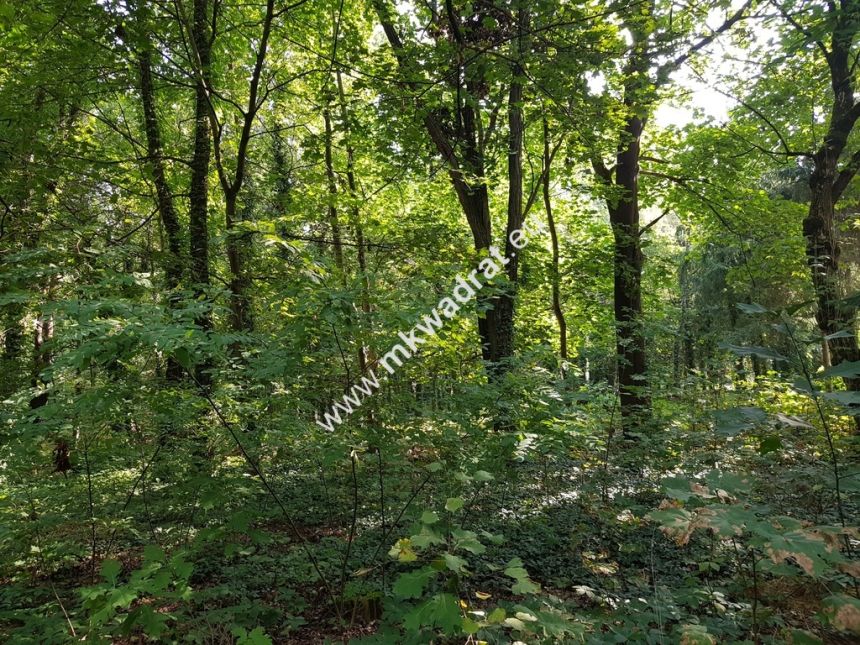 CIEKAWA działka w ścisłym centrum Podkowy L. miniaturka 2