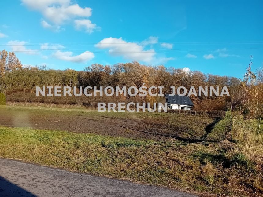 Wilczyn, 280 000 zł, 18.7 ar, przyłącze wodociągu miniaturka 4