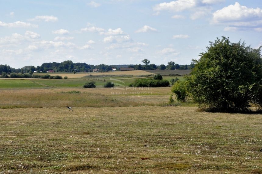 Działka rolna pod Pasymiem miniaturka 14