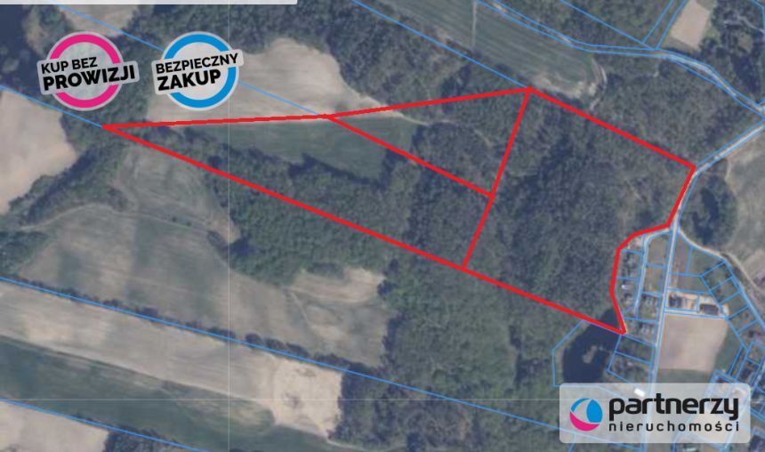 Podjazy, 649 000 zł, 8.76 ha, siedliskowa miniaturka 3