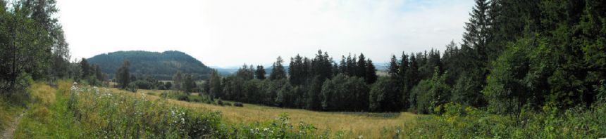 Boguszów-Gorce, 550 000 zł, 8 ha, o zróżnicowanym ukształtowaniu terenu - zdjęcie 1