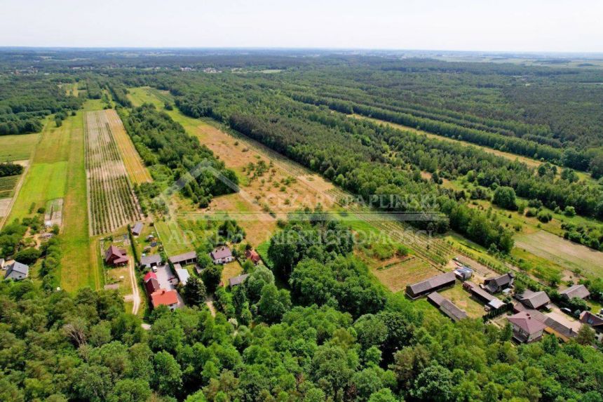 Kazimierz Dolny 2 ha lasu plus siedlisko/rekreacja miniaturka 13