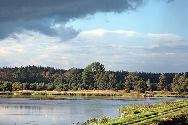 Cielętniki 45 000 zł 10.96 ar miniaturka 10