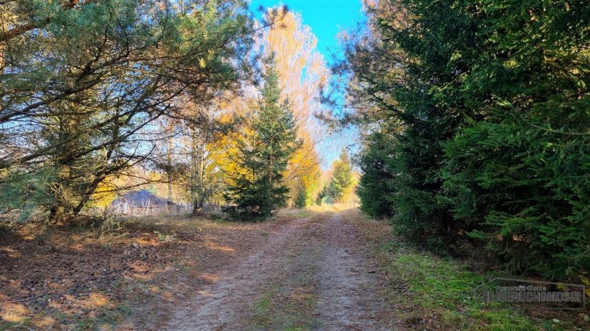 Działki na skraju wsi. Radomyśl ok. 10km od Sz-nka miniaturka 12