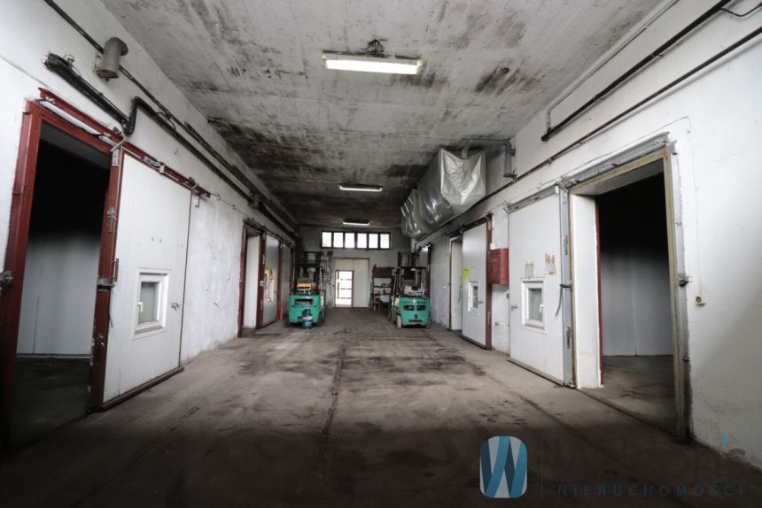 Jasieniec, 4 500 000 zł, 4555 m2, hala/magazyn miniaturka 14